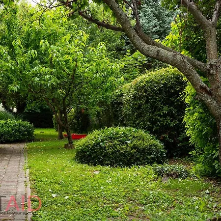 Villa57 - - Hostaid Villa *